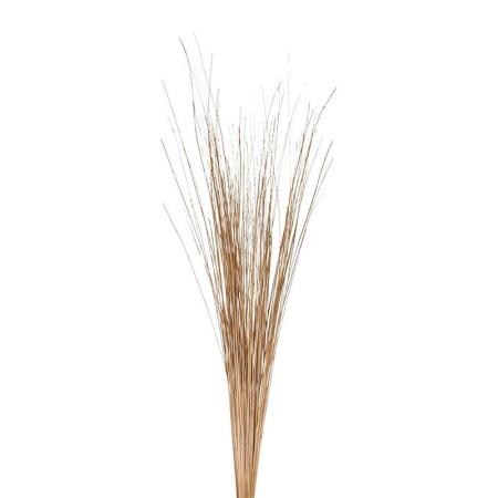 特価◎即日★【ドライ】コアトレーディング/ティンティンシーフ ナチュラル/18376