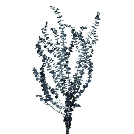 【プリザーブド】コアトレーディング/ユーカリ ブラック/19162