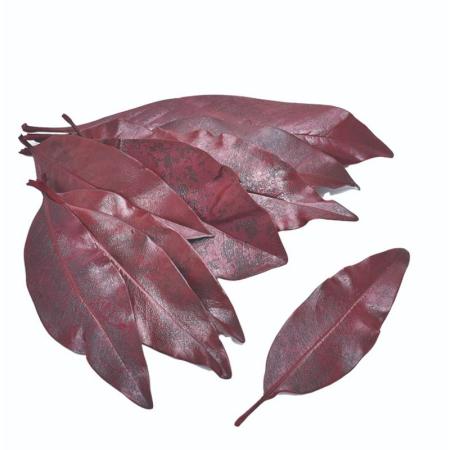 【プリザーブド】コアトレーディング/マグノリアリーフ バーガンディー/19059