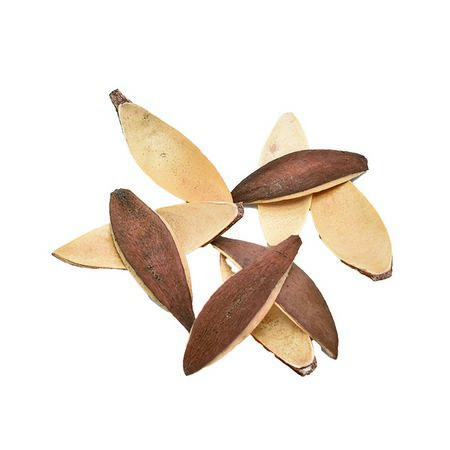 特価◎即日★【ドライ】コアトレーディング/リリー・ペタル ナチュラル/30396