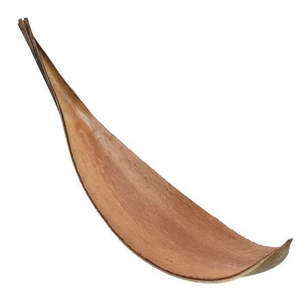 特価◎即日★【ドライ】コアトレーディング/ココミディアム ナチュラル/30317