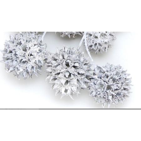 特価◎即日★【ドライ】コアトレーディング/アンバーバウム グレイッシュ/10575