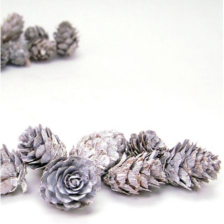 特価◎即日★【ドライ】コアトレーディング/カラマツ グレイッシュ/10577