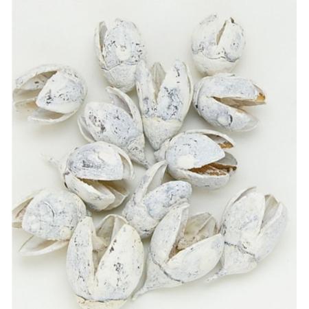 特価◎即日★【ドライ】コアトレーディング/バクリ グレイッシュ/10580