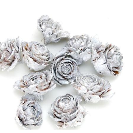 特価◎即日★【ドライ】コアトレーディング/シダローズ グレイッシュ/10581