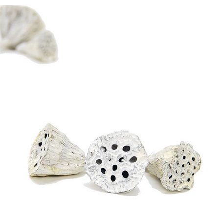 特価◎即日★【ドライ】コアトレーディング/ハスヘッド・ミニ グレイッシュ/10644