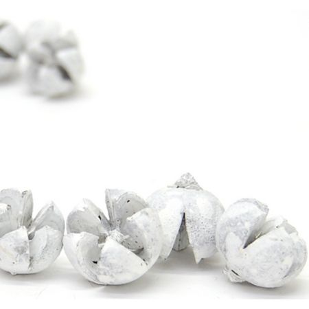 特価◎即日★【ドライ】コアトレーディング/ワラッチポッド グレイッシュ/10666