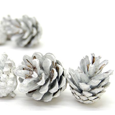 【ドライ】コアトレーディング/パイン・シルべストリー グレイッシュ/10686