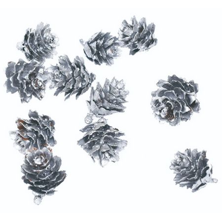 特価◎即日★【ドライ】コアトレーディング/グイマツ シルバー/10528