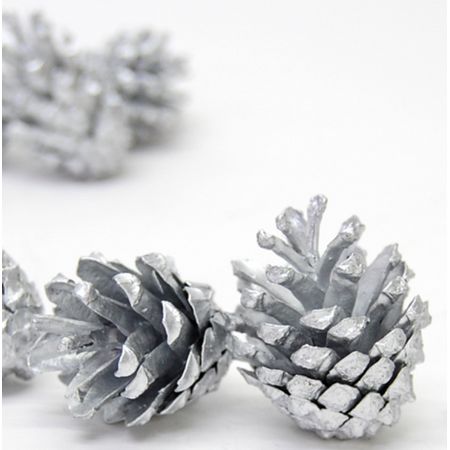 【ドライ】コアトレーディング/パイン・シルべストリー シルバー/10684