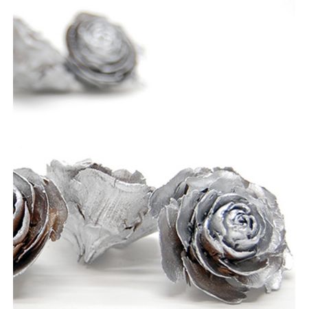 即日★【ドライ】コアトレーディング/シダローズ シルバー/10690