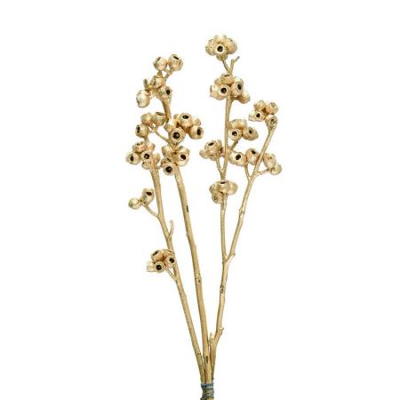 特価◎即日★【ドライ】コアトレーディング/アンバーナッツ・ブランチ ゴールド/10831