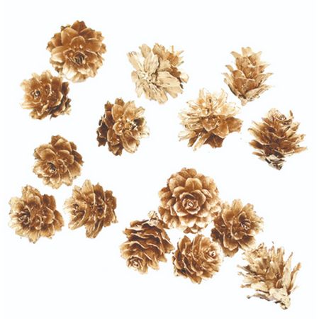 特価◎即日★【ドライ】コアトレーディング/グイマツ ゴールド/10502