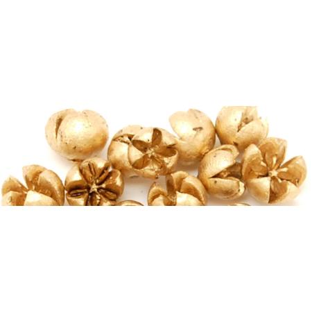 特価◎即日★【ドライ】コアトレーディング/ワラッチポッド ゴールド/10612