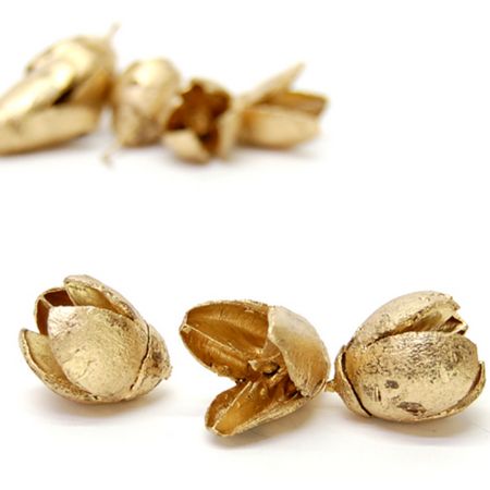 特価◎即日★【ドライ】コアトレーディング/バクリ ゴールド/10675