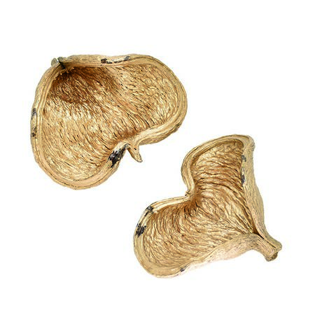 特価◎即日★【ドライ】コアトレーディング/ゴールドハート・バンガルポッド ゴールド/10829