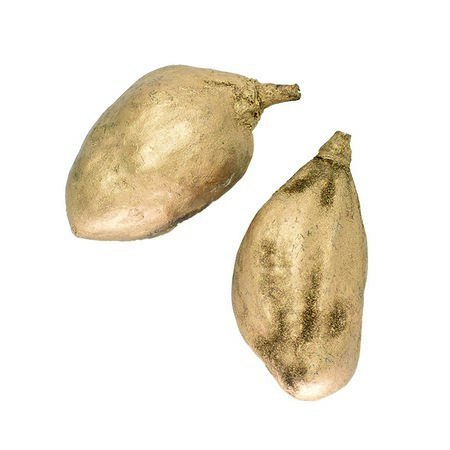 特価◎即日★【ドライ】コアトレーディング/バオバブ ゴールド/10830