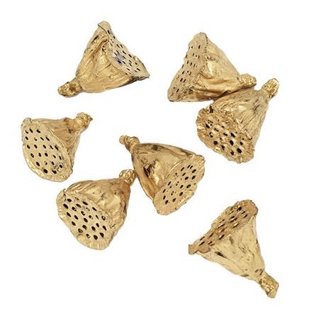 特価◎即日★【ドライ】コアトレーディング/ハスヘッド・小 ゴールド/10588