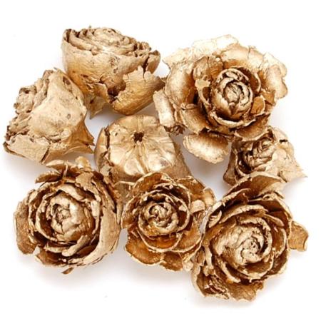 特価◎即日★【ドライ】コアトレーディング/シダローズ ゴールド/10589