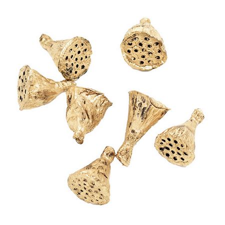 特価◎即日★【ドライ】コアトレーディング/ハスヘッド・ミニ ゴールド/10643