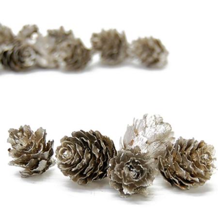 特価◎即日★【ドライ】コアトレーディング/グイマツ プラチナ/10621