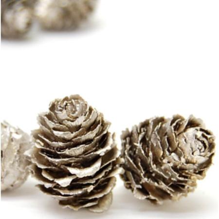 特価◎即日★【ドライ】コアトレーディング/カラマツ プラチナ/10654