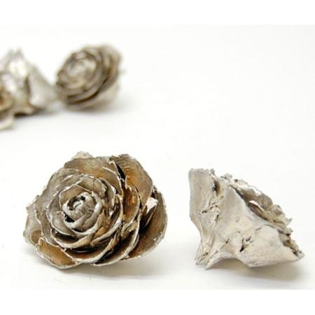 特価◎即日★【ドライ】コアトレーディング/シダローズ プラチナ/10662