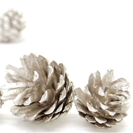 【ドライ】コアトレーディング/パイン・シルべストリー プラチナ/10685