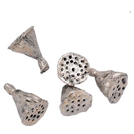 特価◎即日★【ドライ】コアトレーディング/ハスヘッド・ミニ プラチナ/10692