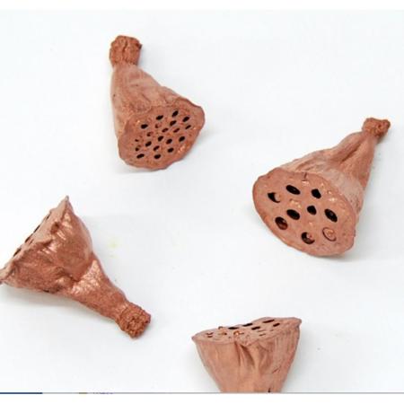 特価◎即日★【ドライ】コアトレーディング/ハスヘッド・ミニ ブロンズ/10648