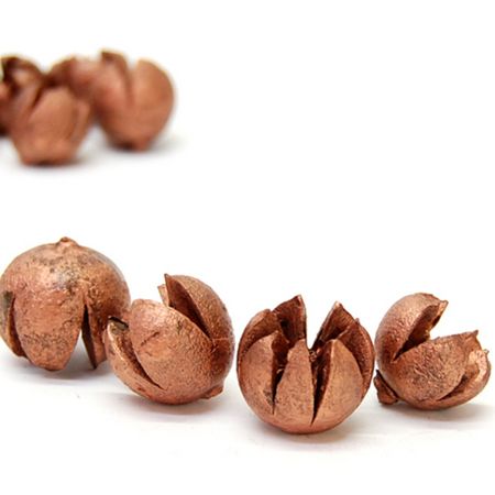 特価◎即日★【ドライ】コアトレーディング/ワラッチポッド ブロンズ/10669