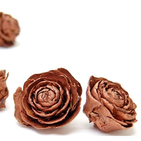 特価◎即日★【ドライ】コアトレーディング/シダローズ ブロンズ/10663