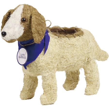 特価◎SG Wonder zone/シサルコーイケルホンディエ ベル/111-010