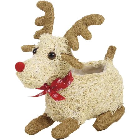 特価◎SG Wonder zone/トナカイ ナチュラル/112-001