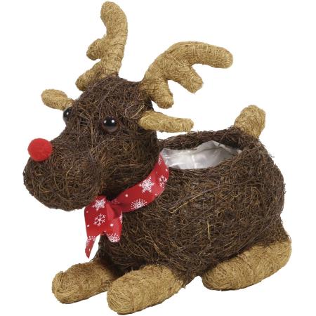 特価◎SG Wonder zone/トナカイ ブラウン/112-002