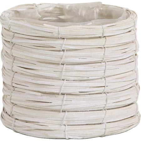 SG Wonder zone/コイリングウッド寸胴S ホワイト/747-009W