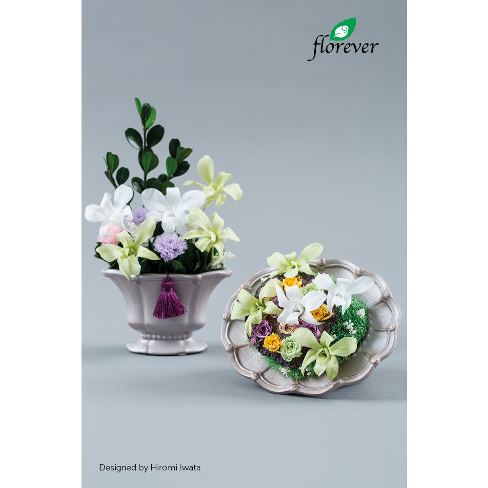 即日 プリザーブド ソリダゴ パールホワイト 3本 Fl470 01 通販 はなどんやアソシエ 即日 プリザーブド ソリダゴ パールホワイト 3本 Fl470 01 通販 はなどんやアソシエ