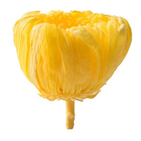 特価 即日 プリザーブド フロールエバー 輪ギク 6輪 ソフトライラック Fl451 43 通販 はなどんやアソシエ 特価 即日 プリザーブド フロールエバー 輪ギク 6輪 ソフトライラック Fl451 43 通販 はなどんやアソシエ