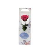 プリザーブド】フロールエバー/ショートステムローズ チェリーレッド