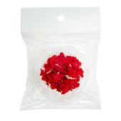 【プリザーブド】フロールエバー/+FLOWERマイクロカーネーション 6P チェリーレッド/FLS14006-05