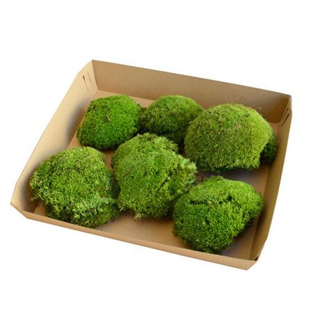 特価◎【プリザーブド】フロールエバー/ポールモスFR 大袋 Natural Green/FL824FR-720