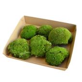 特価◎【プリザーブド】フロールエバー/ポールモスFR 大袋 Natural Green/FL824FR-720