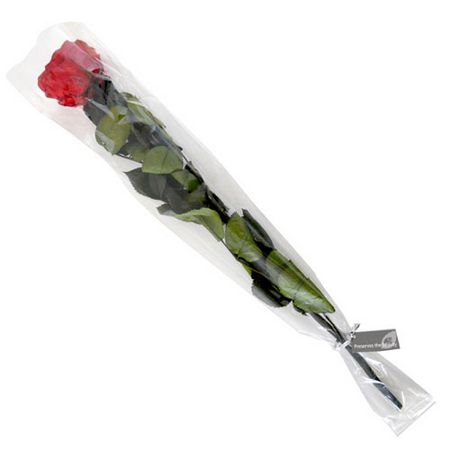 【プリザーブド】フロールエバー/グレースローズ ステム付 Cherry Red/FL0921-05