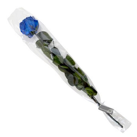 【プリザーブド】フロールエバー/グレースローズ ステム付 Grand Blue/FL0921-12