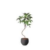 直送】 【人工観葉植物】光の楽園/光触媒 ナチュラルツピタンサス1.0