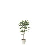 光触媒　人工観葉植物　フェイクグリーン　アムステルラバーキング1.8 直送】 【人工観葉植物】光の楽園/光触媒 アムステルダムキング1.3