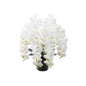 直送】 【造花】光の楽園/光触媒 フレッシュロング胡蝶蘭7本立W