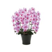 直送】 【造花】光の楽園/光触媒 クイーン胡蝶蘭5本立L/655A150 ※返品