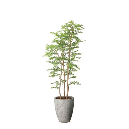 【直送】 【人工観葉植物】光の楽園/光触媒 ナチュラルゴールデンリーフ1.8/2642A820 ※返品・代引・キャンセル不可