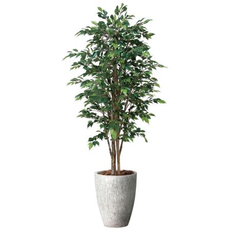 【直送】 【人工観葉植物】光の楽園/光触媒 ナチュラルロイヤルベンジャミン1.8/2647A800 ※返品・代引・キャンセル不可
